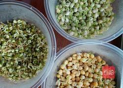 自己长大的健康豆芽的做法图解2
