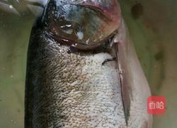 清炖鱼汤的做法图解1