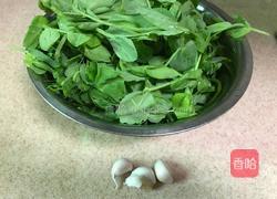 蒜蓉豌豆尖的做法图解1