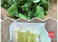 蒜蓉豌豆尖的做法图解2
