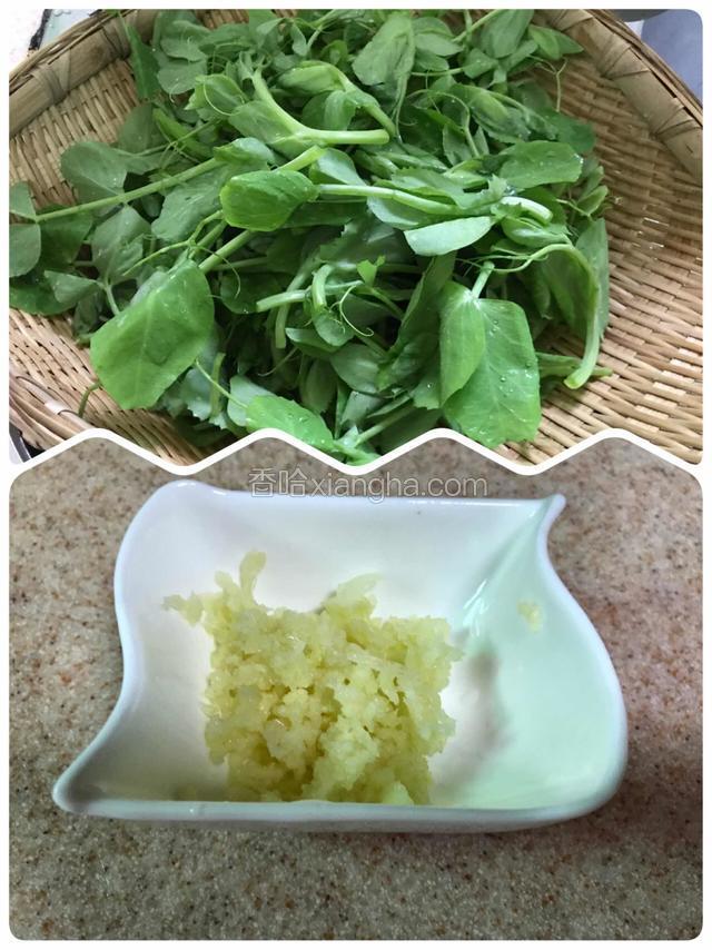豌豆尖去掉老叶、洗净并滤去多的水分，蒜去皮压成未。