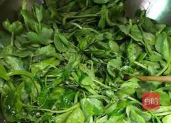 蒜蓉豌豆尖的做法图解4