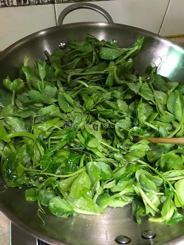 放洗净的豌豆尖，用筷子上下翻炒。