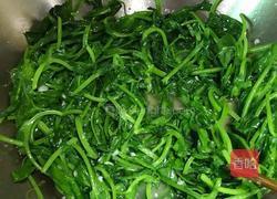 蒜蓉豌豆尖的做法图解5