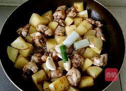鸡翅根炖土豆的做法图解8
