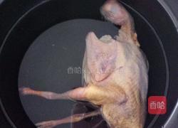 虫草枸杞鸽子汤的做法图解2