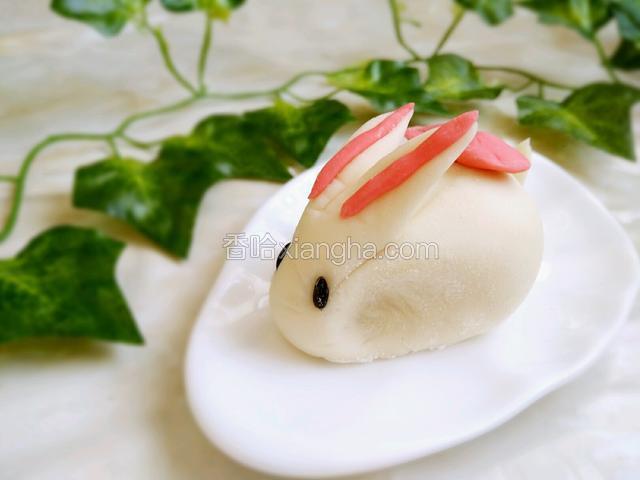 美美哒可爱的小白兔
