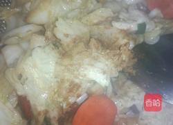 家常白菜炖粉条的做法图解12