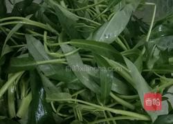 素炒藤藤菜的做法图解1