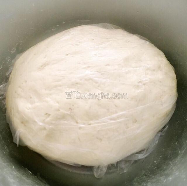 用30度左右的温水合成稍软的面团，然后醒面2小时。