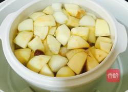 苹果梨雪莲子炖瘦肉汤的做法图解6