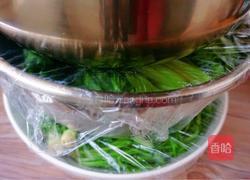 腌制雪里蕻的做法图解6