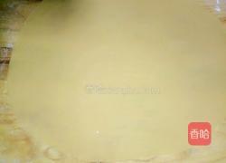 玫瑰苹果的做法图解14