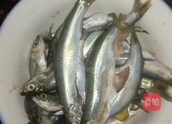 香煎小鱼的做法图解1