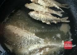 香煎小鱼的做法图解7