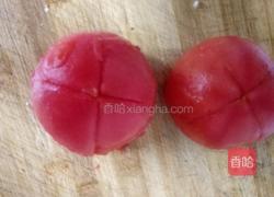 西红柿口蘑炖牛腩的做法图解10