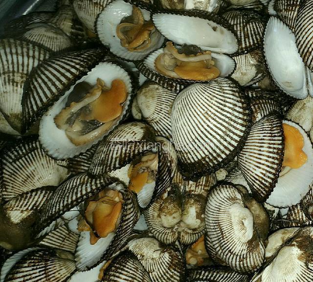 蚶子煮好了！开吃。