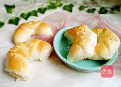 牛角包（一次发酵）的做法图解13