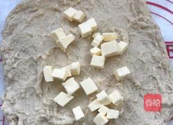 豆沙小面包的做法图解3