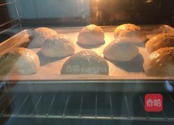 豆沙小面包的做法图解14