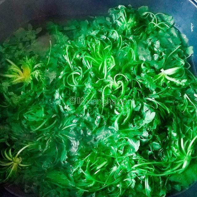 锅中做热水烧开，放入荠菜汆烫。