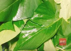 红薯叶菜疙瘩的做法图解1