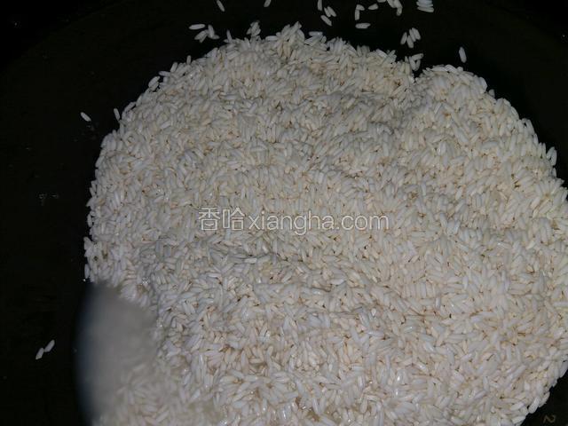 两斤糯米一起煮，我家的锅刚好只可以煮两斤米