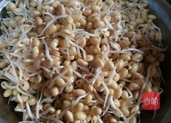 猪肉炒黄豆芽的做法图解1