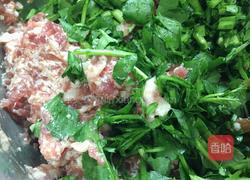 西洋菜猪肉饺的做法图解5