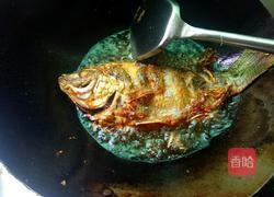 红烧鱼――JIARU的做法图解8