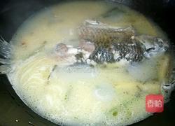 鲫鱼汤的做法图解6