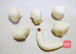 奶香南瓜蜗牛馒头的做法图解7