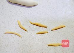 奶香南瓜蜗牛馒头的做法图解14