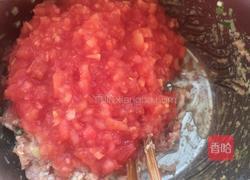 西红柿鲜肉馄饨的做法图解5