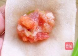 西红柿鲜肉馄饨的做法图解7