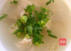 西红柿鲜肉馄饨的做法图解9