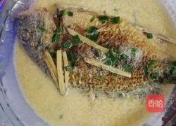 牦牛奶黄翅鱼汤的做法图解8