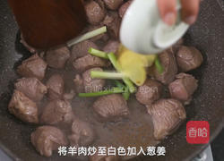 鲜虾羊肉砂锅的做法图解6