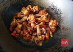 红烧二鸡肉的做法图解7