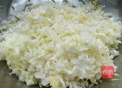 雞蛋韭菜餃子和白菜豆干餃子的做法图解3