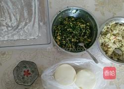 雞蛋韭菜餃子和白菜豆干餃子的做法图解8