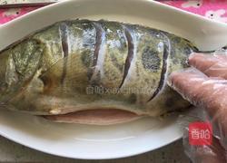 清蒸桂鱼的做法图解3