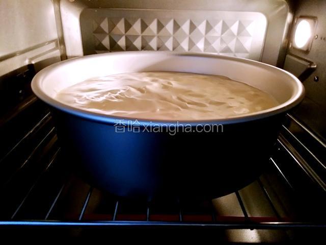 放入烤箱中下层，蛋糕模如果是放在烤网上，上管140℃，下管130℃，烤60分钟即可，蛋糕模如果是放在烤盘上，上下管140℃烤70分钟（烤箱温度和时间仅供参考）