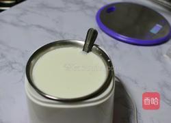 自制酸奶的做法图解5