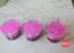 火龙果酸奶的做法图解7