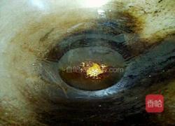 红烧鸡翅根的做法图解16