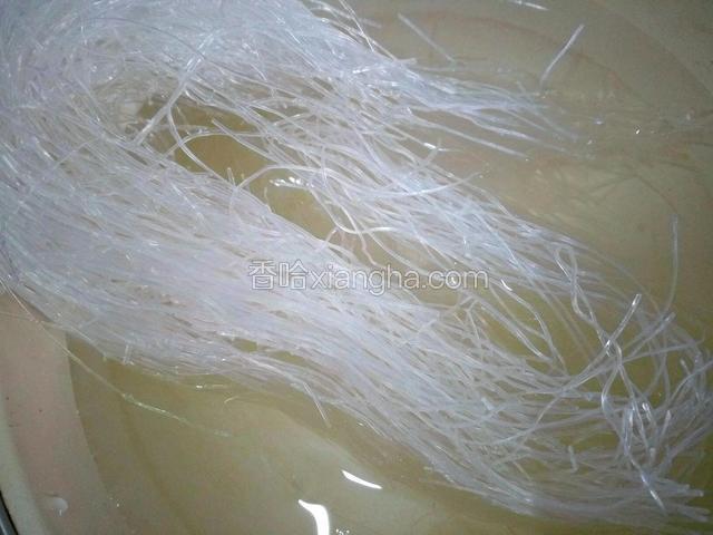 粉丝用冷水泡发