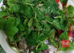 薄荷蒸罗非鱼的做法图解5
