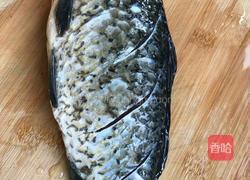 河鲫鱼豆腐汤的做法图解2