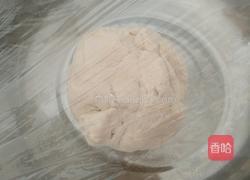 肉末萝卜丝包的做法图解1